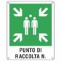 Cartello d'emergenza 40x50 cm Cartelli Segnalatori ''Punto di raccolta'' E20171Y