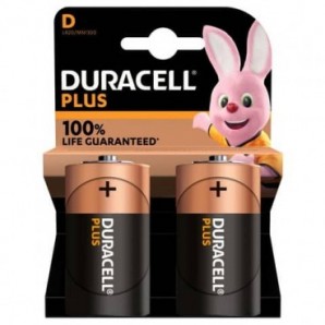 Batteria alcaline Duracell Plus100 Torcia D - MN1300 - blister da 2 - DU0401