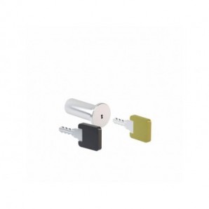 Kit chiavi per locker con ante dotate di serratura standard Motris 1 master + 1 cilindro - LK01MKCL