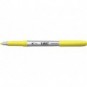 Pennarelli Indelebili BIC Intensity Marking assortiti rainbow - tratto 0,8 mm - conf. 5 pz - 503927