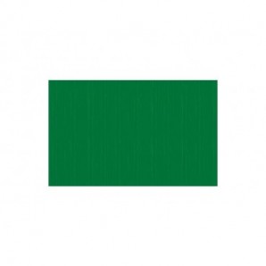 Carta crespa colorata Rex-Sadoch in rotolo 50x250 cm verde primario KR363470