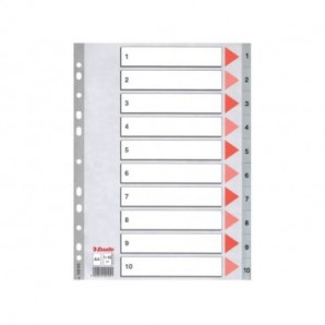 Divisori per rubrica Esselte A4 PPL numerica 1-10 100105