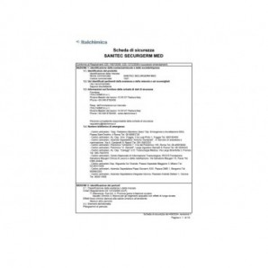 Sapone liquido Sanitec Securgerm disinfettante P.M.C. 1 L - 1027