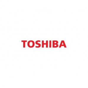 Vaschetta di recupero Toshiba 6AG00004477