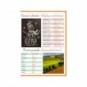 Maxi quaderno Logos Quirebook A4 - 80 g/m² - 40 ff - RQ - arancione - inglese primario