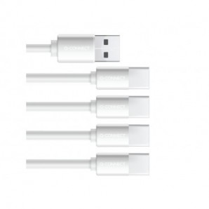 Batterie ricaricabili Q-Connect AAA con cavo USB-C - 750 mAh - 1,5V conf. 4 pz in blister - KF14130