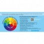 Acquerelli con tempera bianca Donau 7,5 ml in conf. 12 godet + 1 tubetto colori assortiti - 330204