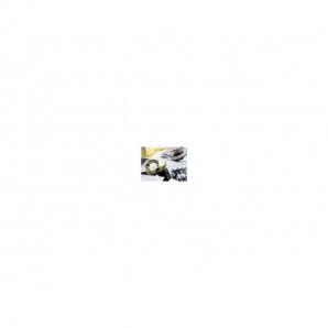 Nastro biadesivo Scotch® 136D SOEU trasparente con dispenser a chiocciola 12,7 mm x 6,3 m - 136D-MDOEU