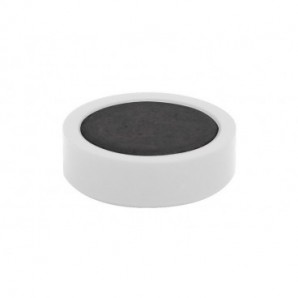 Magneti per lavagne bianche 25 mm Q-Connect bianco - conf. 10 pz - KF02639