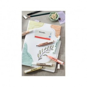 Evidenziatori Stabilo Swing® Cool NatureColors - conf. 6 colori assortiti 275/6-09