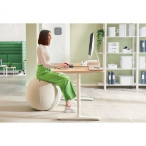 Palla Active da seduta anti rotolamento Ø 65 cm Leitz Ergo grigio chiaro 65420085