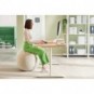 Palla Active da seduta anti rotolamento Ø 65 cm Leitz Ergo grigio chiaro 65420085