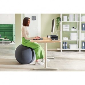 Palla Active da seduta anti rotolamento Ø 65 cm Leitz Ergo grigio scuro 65420089