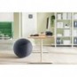 Palla Active da seduta anti rotolamento Ø 65 cm Leitz Ergo grigio scuro 65420089