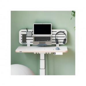 Pannello forato con accessori supporto PC/smartphone, portapenne e gancio 80x25 cm Leitz Ergo grigio chiaro