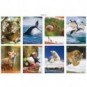 Maxi quaderno Blasetti Animali A4 - 100 g/m² - 18+1 ff - 4F - conf. 10 pezzi - 8206