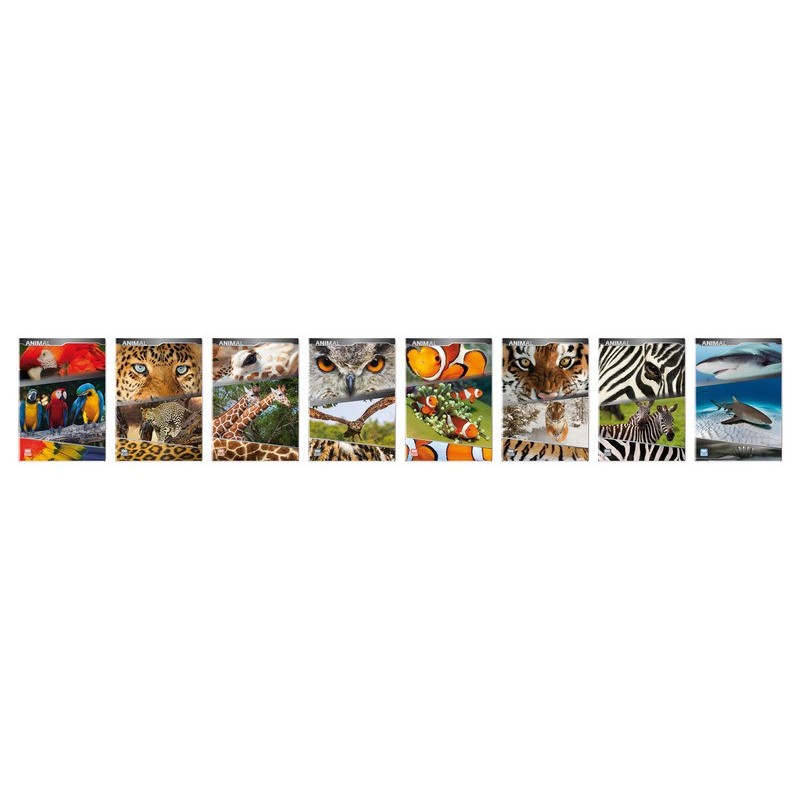 Maxi quaderno Blasetti Animali A4 - 100 g/m² - 18+1 ff - 4M - conf. 10 pezzi - 5893