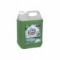 Detergente disinfettante multisuperficie professionale Lysoform 5 L freschezza alpina Plus - 9300969