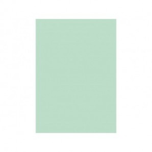 Cartellina semplice Brefiocart Color 24,5x35 cm cellulosa 200 g/m² verde menta chiaro - conf. 50 pz - 0205510.VC