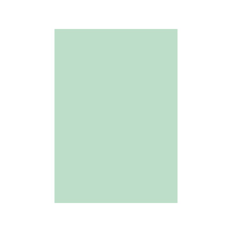 Cartellina semplice Brefiocart Color 24,5x35 cm cellulosa 200 g/m² verde menta chiaro - conf. 50 pz - 0205510.VC