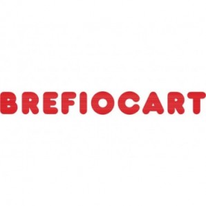Cartellina semplice Brefiocart Color 24,5x35 cm cellulosa 200 g/m² verde menta chiaro - conf. 50 pz - 0205510.VC