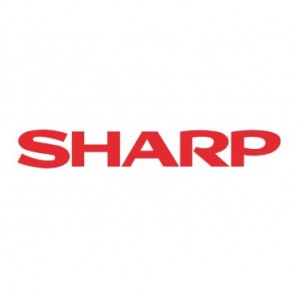 Calcolatrice scrivente Sharp a 12 cifre velocità di stampa: 4,5 linee/secondo - grigio - SH-CS2635LW