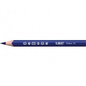 Matite colorate BIC Kids Evolution Triangle con fusto triangolare in conf. 12 pezzi assortiti - 82973511