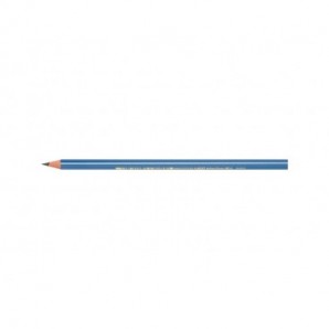 Matite in grafite HB a fusto triangolare BIC Evolution Triangle in conf. 12 pezzi assortiti - 964845