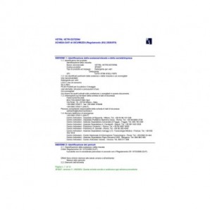 Detergente per vetri Vetril Squeeze 650 ml M2310