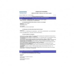 Multiuso per vetri e specchi di origine vegetale Ecochem Hibiscus Ecolabel 750 ml - EL06HIBM750B242