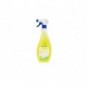 Sgrassatore di origine vegetale Ecochem Radens Ecolabel 750 ml EL06RADM750B244