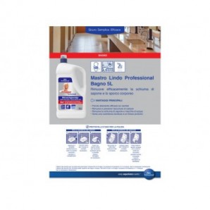 Detergente per bagno Mastro Lindo Professional 5 L Bagno - PG4400