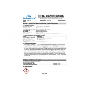 Detergente per bagno Mastro Lindo Professional 5 L Bagno - PG4400