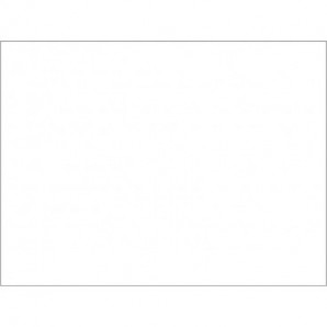 Tovaglietta Ristocart in carta bianca liscia 55 g conf. 250 pz 30x40cm EYTVT1157