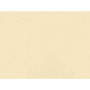 Tovaglietta Ristocart in carta paglia neutra tinta in massa 30x40 cm conf. 250 pz verde - WRTVT1138
