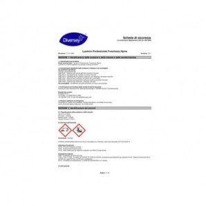 SPI206525 - Lysoform professionale disinfettante - 5 litri