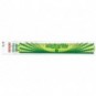 Triplo decimetro ARDA Linea Elastika plastica flessibile verde trasparente 30 cm - EL30P_137234