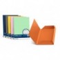 Cartellina 3 lembi Favini FOLDER 3L Simplex Luce&Acqua 200 g/m² 24,5x34,5cm giallo oro 52 conf.25 - A50H434_193947