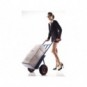 Carrello in acciaio Serena Group con doppio manico 57 x 46 x h. 116 cm 300 kg blu - HT300