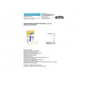 Fermacampioni Astra in acciaio testa bombata N.7 31 mm ottone scatola da 100 pz. - FC7_224330