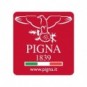 Registro 194 fogli Pigna Monocromo A4 quadretti 5 mm assortiti