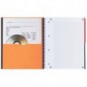 Quaderno spiralato OXFORD International Activebook Maxi A4+ grigio/arancio quadretti 5 mm - 100104329_172744