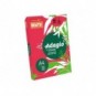 Carta colorata A4 INTERNATIONAL PAPER Rey Adagio rosso intenso 22 risma 250 fogli - ADAGI160X462_398338