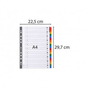 Intercalari stampati in digitale Exacompta Protect'o cartoncino A4 160g/mq 20 tasti AZ - 1111E_601566