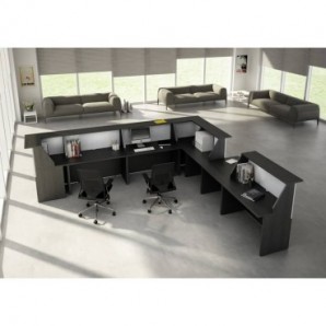 Reception Artexport Musa 80x97,5x72 basso nero ven. frassino-bianco 2824-HB80-83