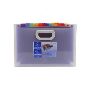 Classificatore valigetta Crystal Colours cristallo 24 scomparti 33x23,5x25cm con maniglia - 55198E