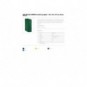 Cartella portaprogetti Esselte C90 DELSO ORDER dorso 10 cm presspan lucido verde 25x35 cm - 390390180