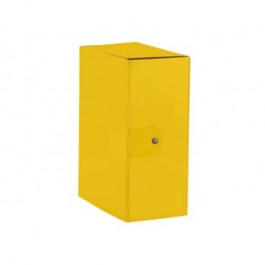 Cartelle portaprogetti Esselte C95 DELSO ORDER dorso 15 cm presspan lucido giallo 25x35 cm - 390395090